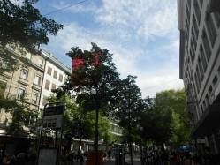 DSCN5572.JPG
